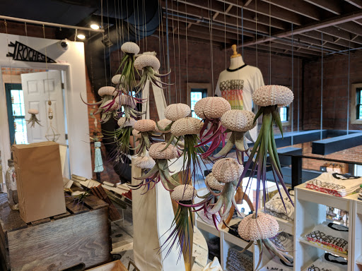 Boutique «Peppermint», reviews and photos, 145 Culver Rd, Rochester, NY 14620, USA