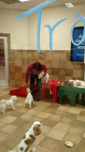 Pet Supply Store «PetSmart», reviews and photos, 6204 W Park Blvd, Plano, TX 75093, USA