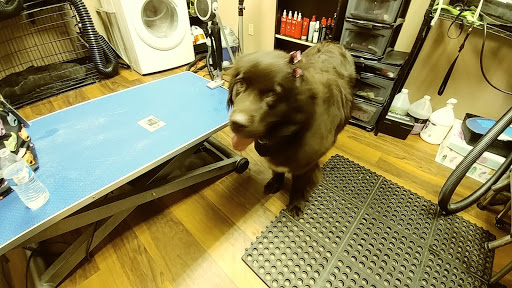 Pet Store «Pet Valu», reviews and photos, 2645 Shillington Rd, Sinking Spring, PA 19608, USA