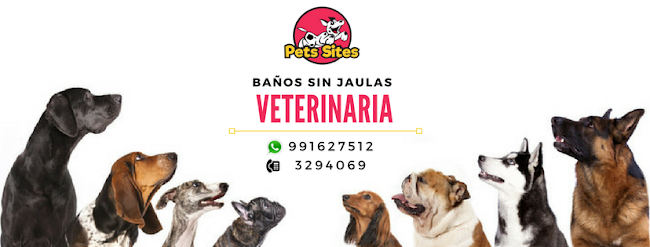 Veterinaria en San Miguel - Pets Sites