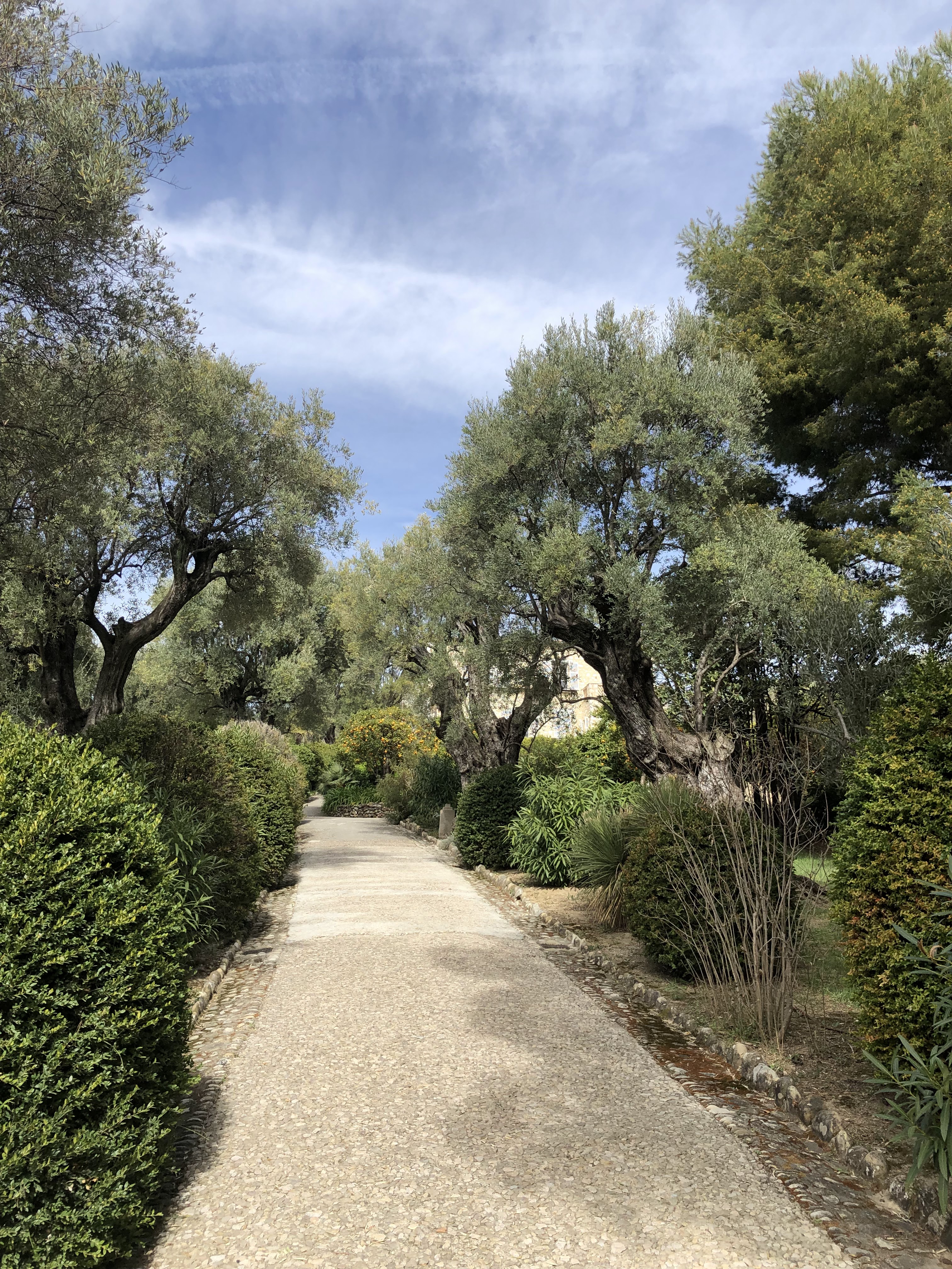 Photo n° 7 de l'avis de Denis.u fait le 25/04/2019 à 10:20