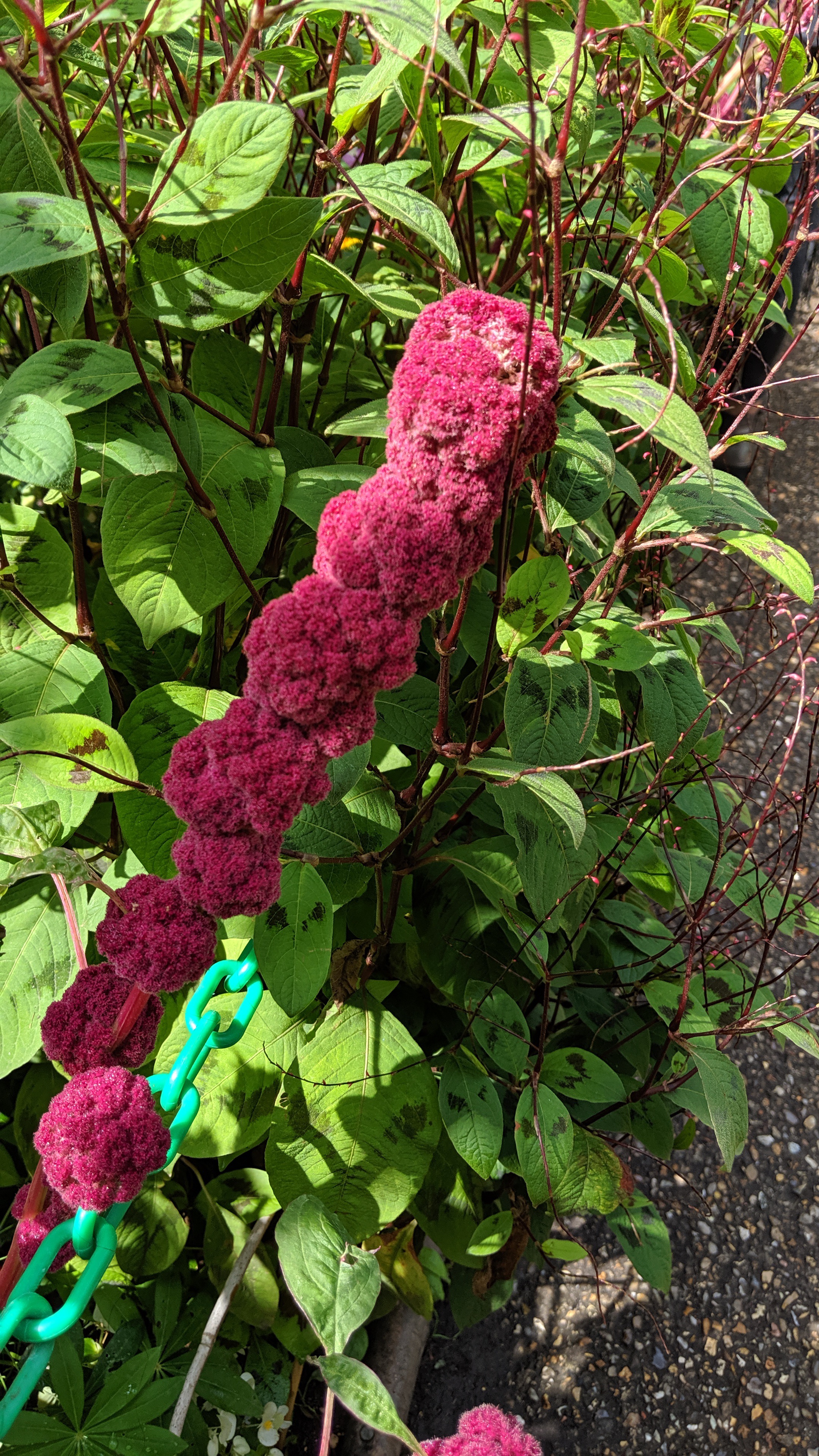 Photo n° 22 de l'avis de Tristan.a fait le 09/08/2021 à 16:22