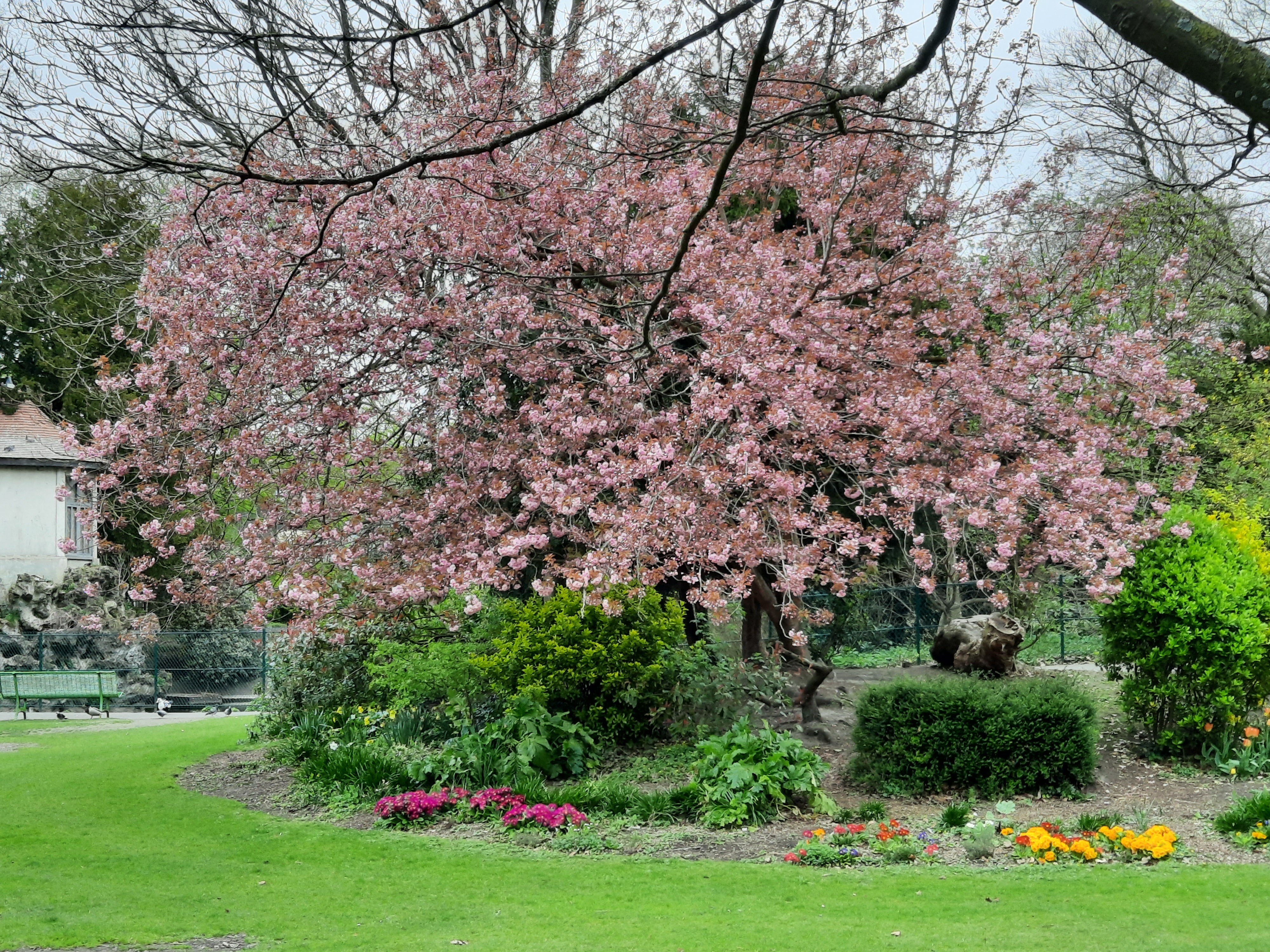 Photo n° 4 de l'avis de Moi.u fait le 11/04/2021 à 18:04