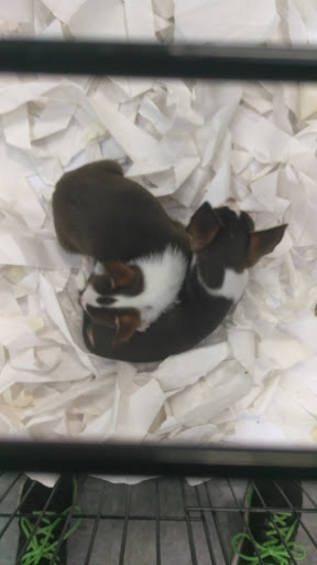 Pet Supply Store «Our Pet World», reviews and photos, 380 Semoran Commerce Pl, Apopka, FL 32703, USA