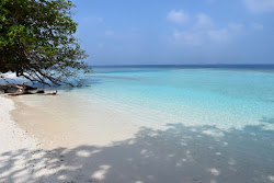 Photo de Guest Beach zone sauvage