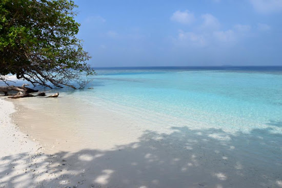 Guest Beach