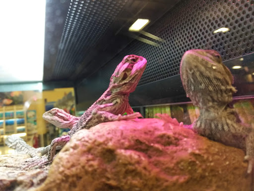 Pet Supply Store «PetSmart», reviews and photos, 355 Howe Ave, Cuyahoga Falls, OH 44221, USA