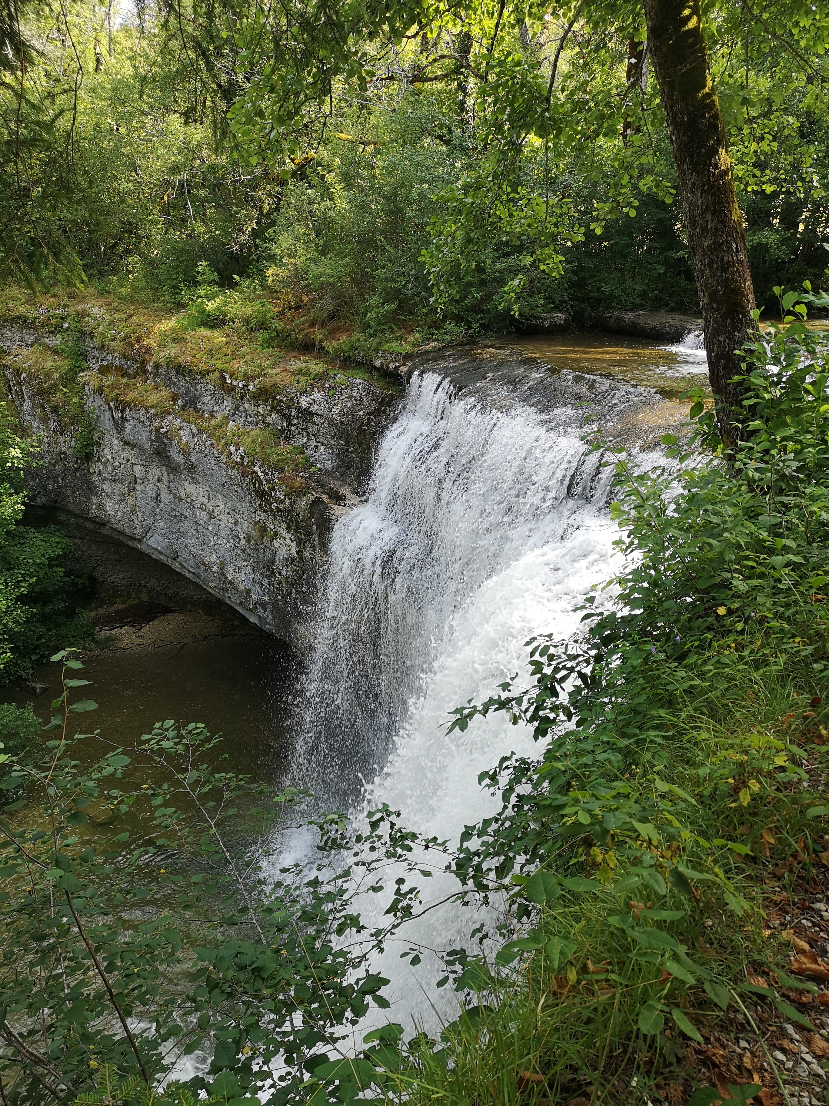 Photo n° 3 de l'avis de Catherine.c fait le 04/08/2019 à 09:00
