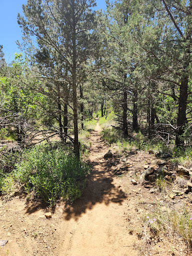 John A. Milne & Gutierrez Canyon Open Space