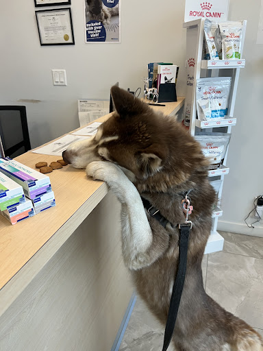 Albion Animal Hospital image