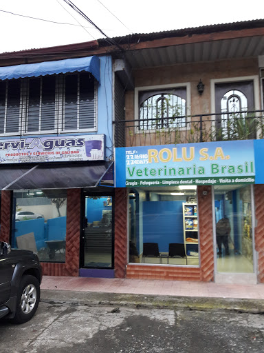 VETERINARIA BRASIL PARQUE LEFEVRE