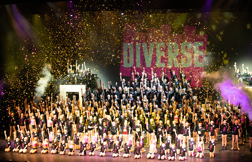 Diverse Performing Arts School and Entertainment