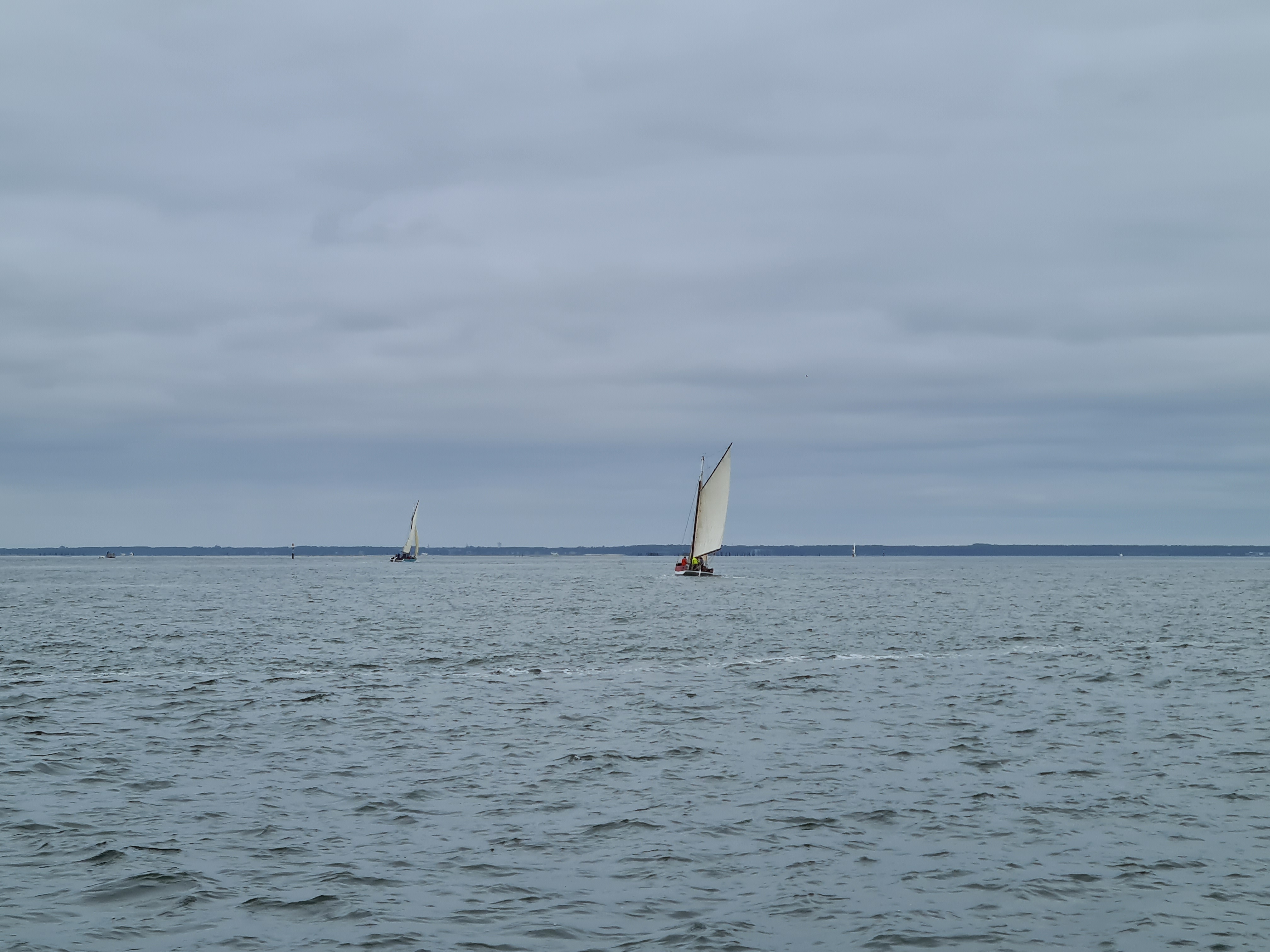 Photo n° 3 de l'avis de C. fait le 16/07/2020 à 19:34