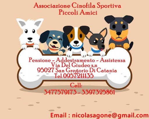 Pensioni per cani e dog hotel a PENSIONE PER CANI - CATANIA