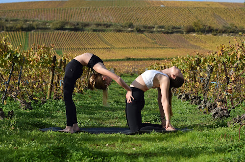 Vinyasa Yoga - Yoga avec Anastassia à Troyes