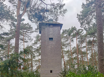 Tower In Forest