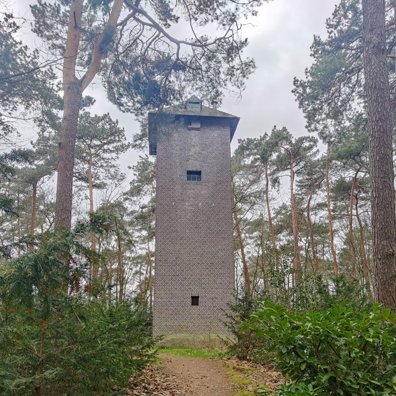 Tower In Forest
