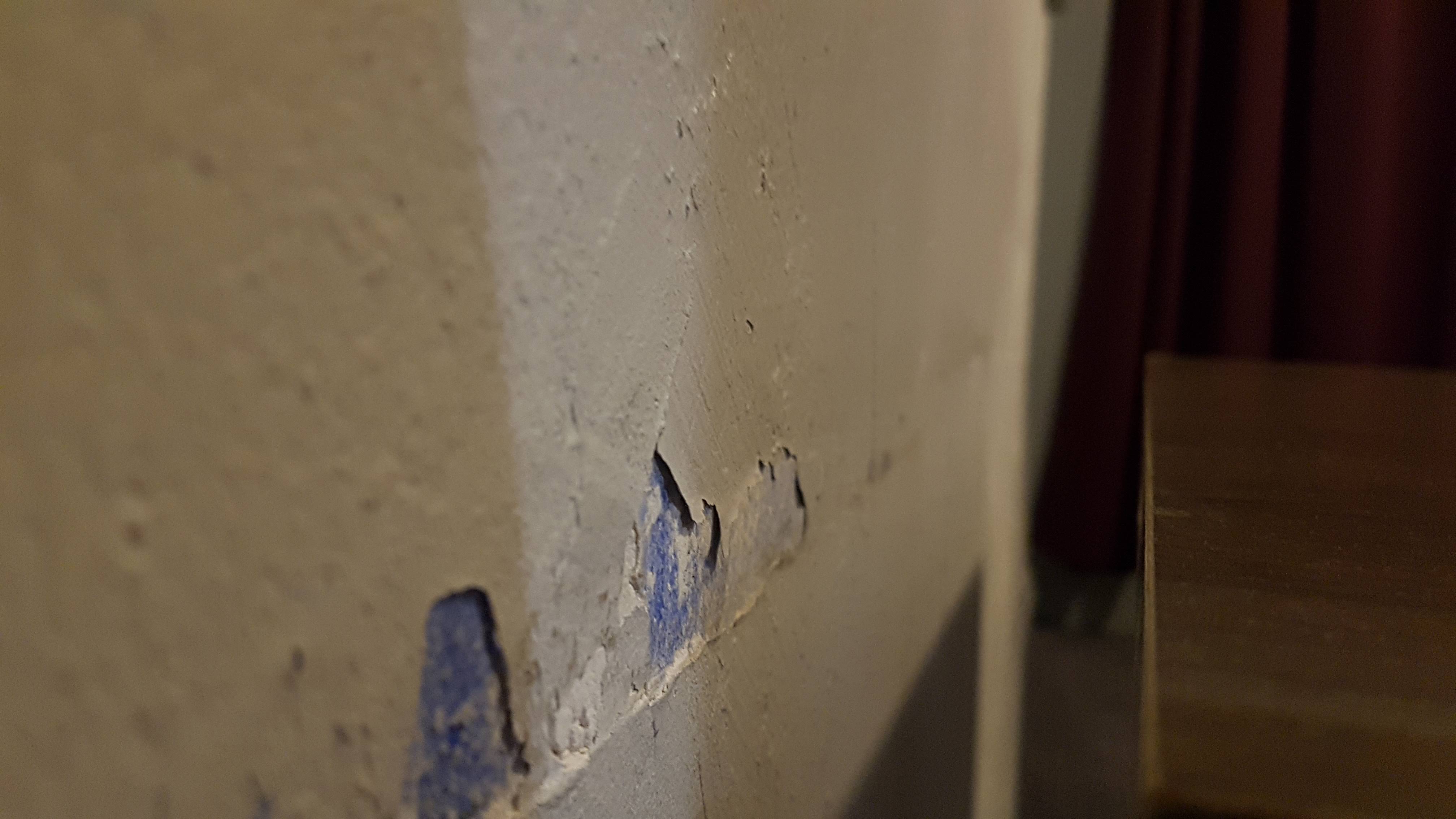 Photo n° 11 de l'avis de Bast. fait le 22/11/2018 à 09:20