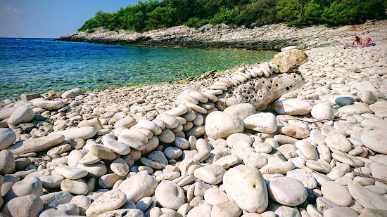 Srebrna beach