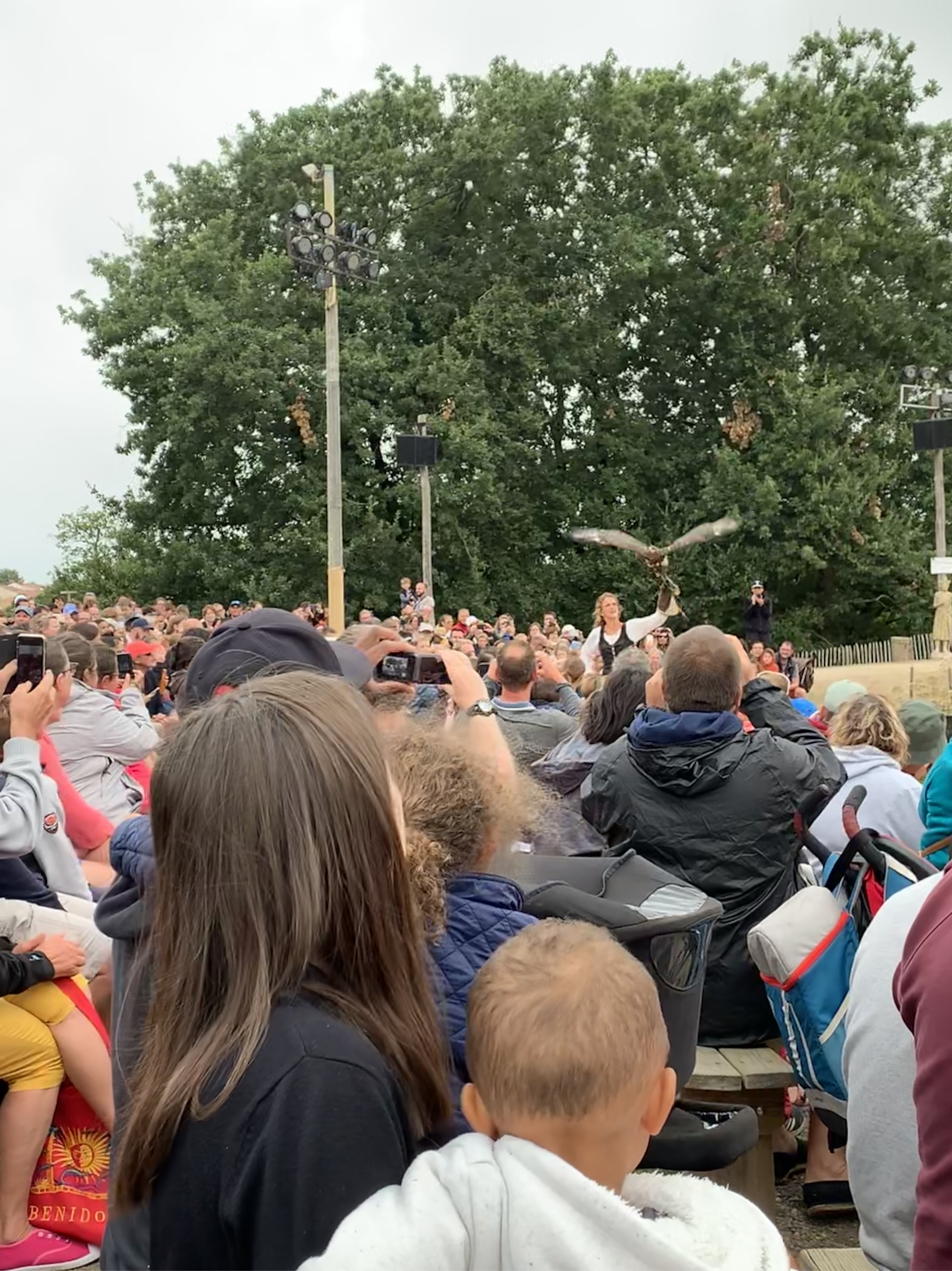 Photo n° 3 de l'avis de Mikhael. fait le 18/08/2019 à 23:49