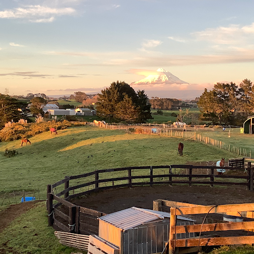 Horse works🐎specialised Training &;Riding facility - New Plymouth