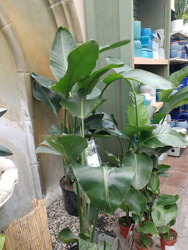 Garden Center «Sloat Garden Center», reviews and photos, 1555 Kirker Pass Rd, Concord, CA 94521, USA