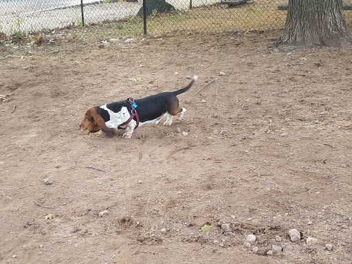 Park «Union Street Dog Park», reviews and photos, 59 Fair St, New Haven, CT 06511, USA