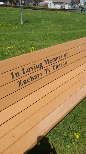 Park «Ruedisale Point Park», reviews and photos, 50400 Ruedisale St, New Baltimore, MI 48047, USA