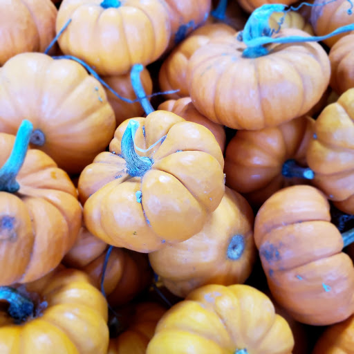 Produce Market «Southside Produce Co Inc», reviews and photos, 8240 Perkins Rd, Baton Rouge, LA 70810, USA