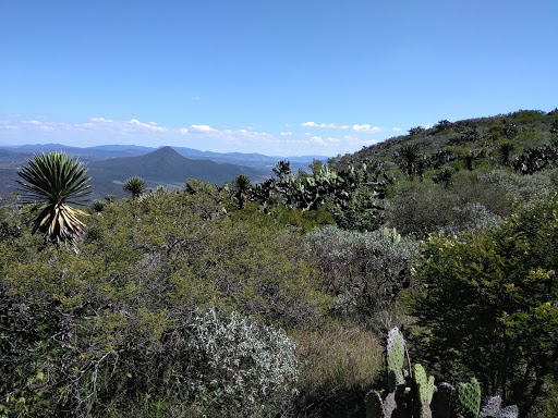 Reserva de vida silvestre Santiago de Querétaro