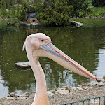 Photo n°11 de l'avis de heiko. fait le 24/05/2023 à 04:41 sur le  Gaststätte Pfauengarten à Stödtlen