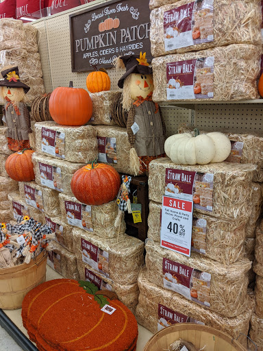 Craft Store «Hobby Lobby», reviews and photos, 420 S Mountain Ave, Upland, CA 91786, USA