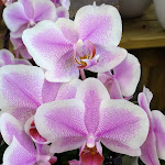 Photo n° 7 de l'avis de Christian.a fait le 30/10/2019 à 21:46 pour E.Leclerc QUERQUEVILLE à Cherbourg-en-Cotentin