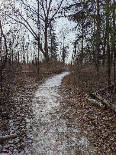 Nature Preserve «Scio Woods Preserve», reviews and photos, Scio Church Rd, Ann Arbor, MI 48103, USA