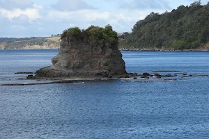 Te Kohuroa / Mathesons Bay image