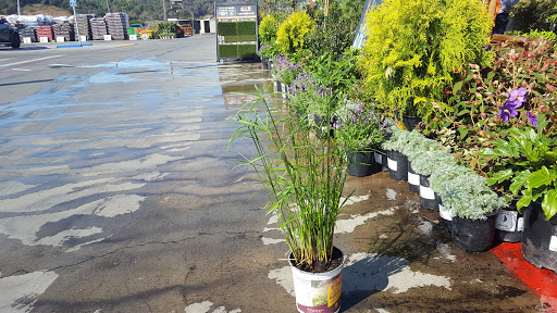 Home Improvement Store «The Home Depot», reviews and photos, 111 Shoreline Pkwy, San Rafael, CA 94901, USA