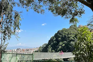 Bhiradil Sakura Park image