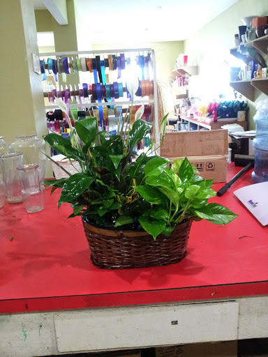 Florist «Cypress Flowers», reviews and photos, 14419 Huffmeister Rd, Cypress, TX 77429, USA