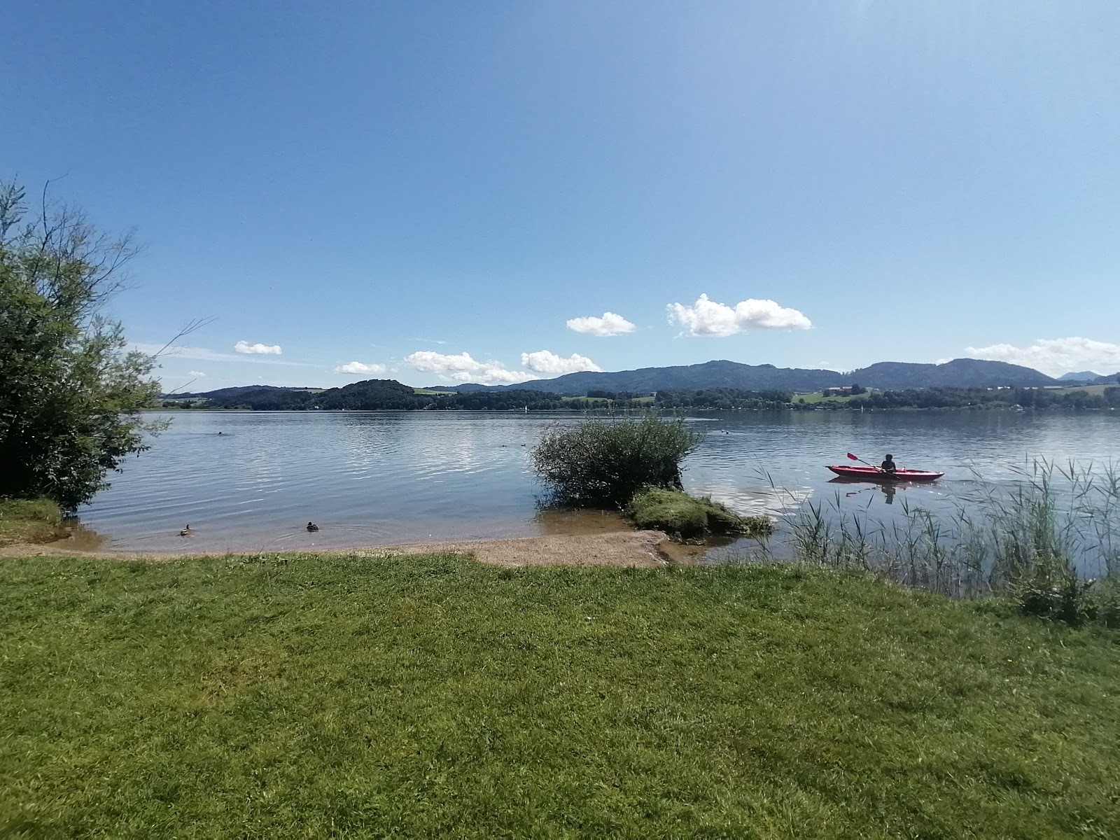 Naturstrandbad Zell am Wallersee photo #6