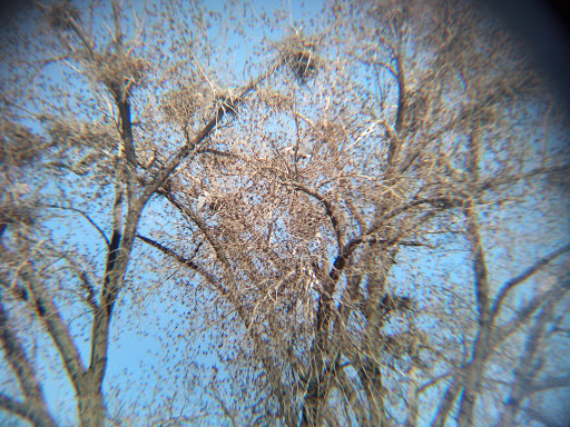 Park «Marshall Terrace Park», reviews and photos, 2740 Marshall St NE, Minneapolis, MN 55418, USA