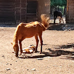 Photo n°6 de l'avis de Domenico.a fait le 14/06/2022 à 07:22 sur le  Zervò Ristorante B&B - U rifuggiu du ‘Bati à Zervò