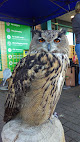 Pets at Home Ashton Under Lyne