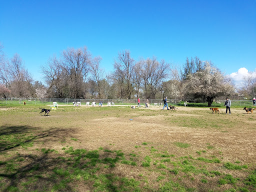 Auburn Ravine Dog Park