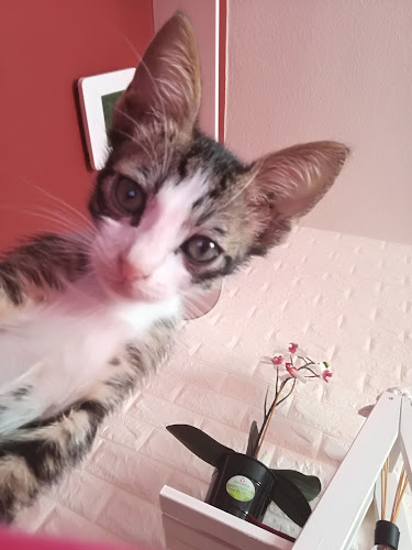 Νικ. Ρεστιβάκη 4, Ηράκλειο 713 04