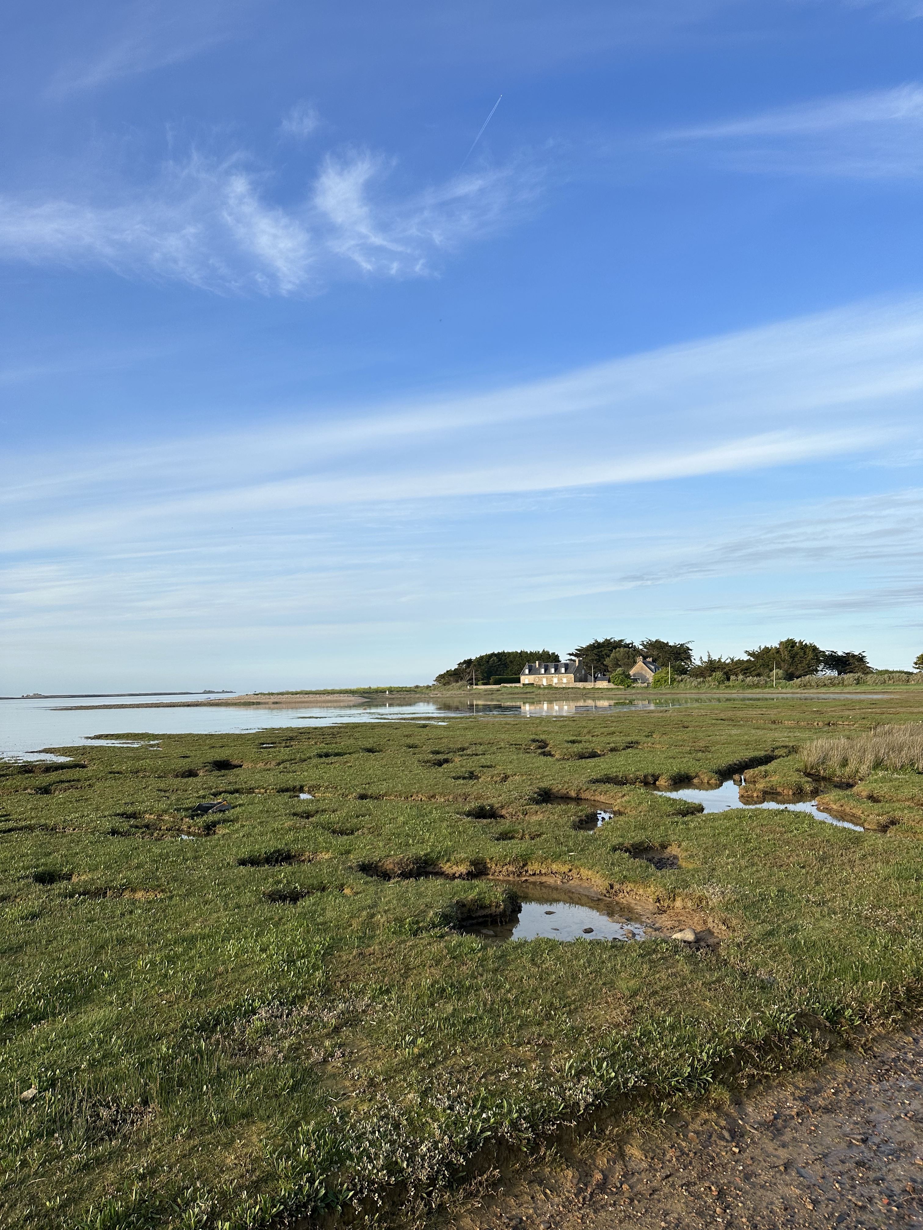 Photo n° 1 de l'avis de fabrice.e fait le 08/05/2023 à 11:47