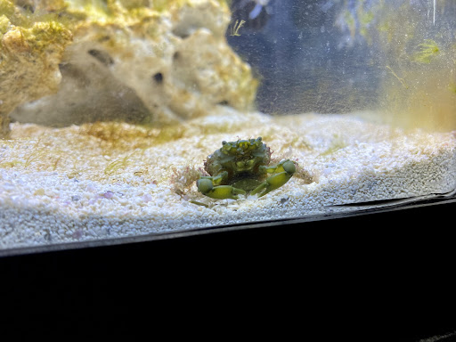 Tropical Fish Store «Aquarium World», reviews and photos, 5950 Airport Hwy, Toledo, OH 43615, USA