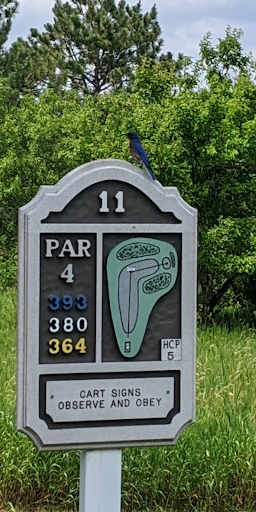 Golf Course «Bellwood Oaks Golf Course», reviews and photos, 13239 210th St E, Hastings, MN 55033, USA