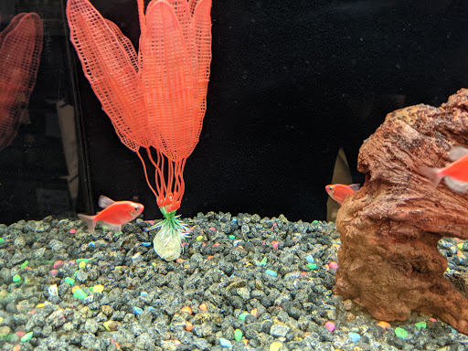 Pet Supply Store «Petco Animal Supplies», reviews and photos, 4540 Princess Anne Rd #128, Virginia Beach, VA 23462, USA