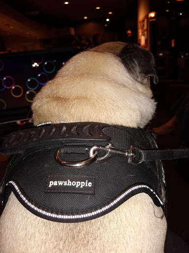 Coffee Shop «Starbucks», reviews and photos, 501 5 Cities Dr, Pismo Beach, CA 93449, USA