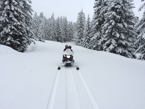 Avoscoot à Morzine